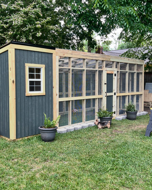 From Sketch to Structure: Building Our Custom Chicken Coop and Run