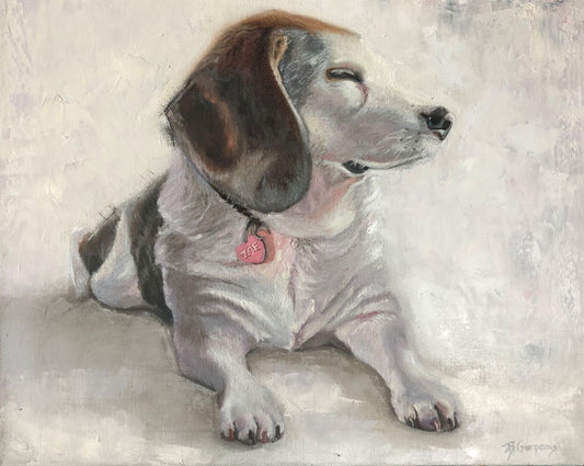 dog portrait in oil by beverly gurganus