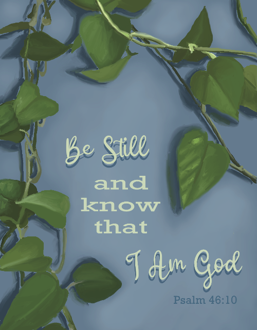 be still scripture greeting card with vine by beverly gurganus 