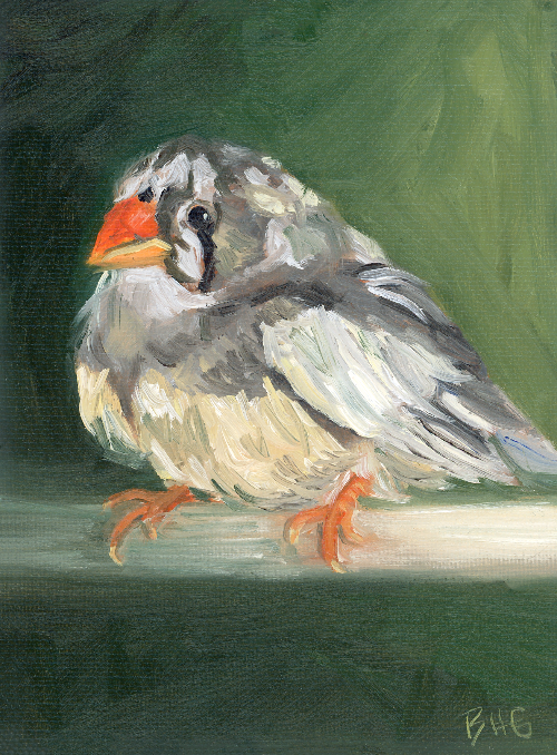 female finch with green background oil painting by beverly gurganus 