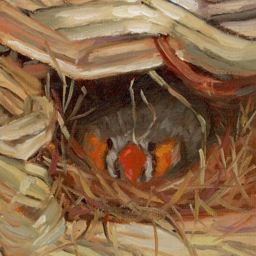 zebra finch in nest oil painting by beverly gurganus