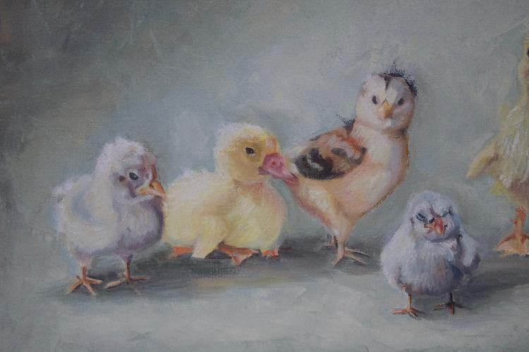 original baby chicks oil painting by beverly gurganus 