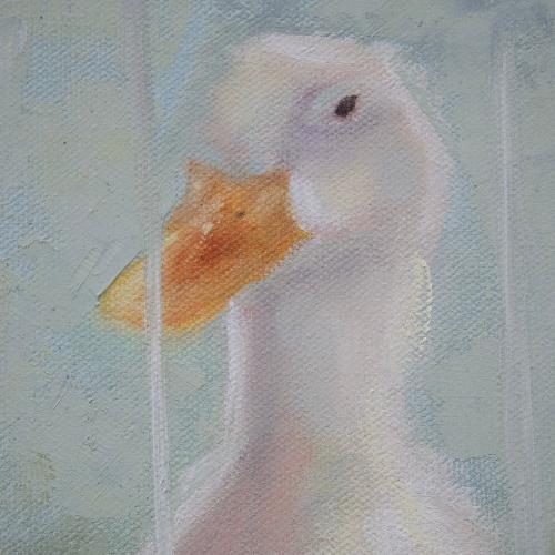 close up of white duck  original oil painting by beverly gurganus