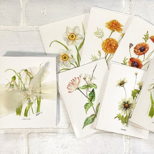 birth flower greeting card set of 12 by beverly gurganus 