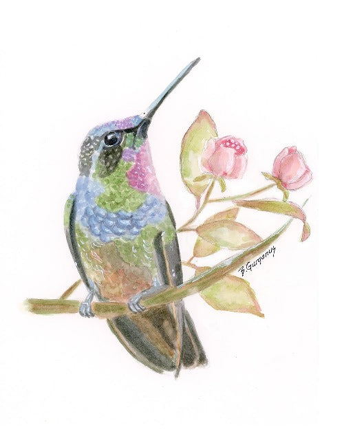 hummingbird-greeting-card-beverly-gurganus-art-home