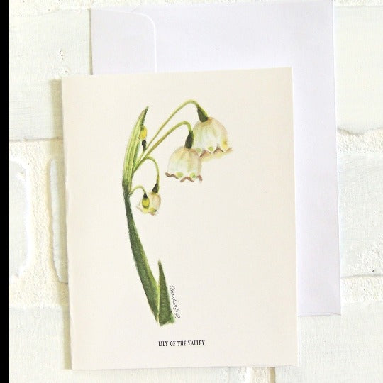 birth flower greeting card set of 12 by beverly gurganus