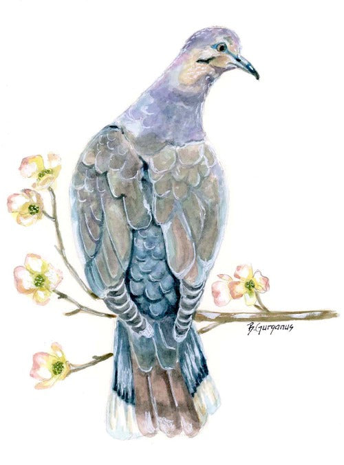 morning-dove-greeting-card-beverly-gurganus-art