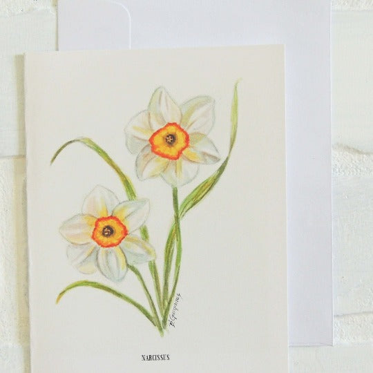 birth flower greeting card set of 12 by beverly gurganus