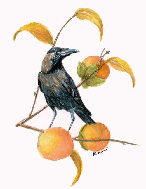 raven-and-persimmons-greeting-card-beverly-gurganus-art