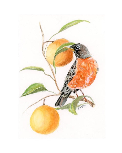 robin-orange-branch-greeting-card-beverly-gurganus-art