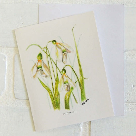 birth flower greeting card set of 12 by beverly gurganus