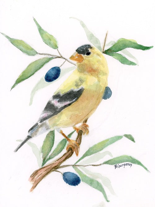 Finch-greeting-card-beverly-gurganus-art-home