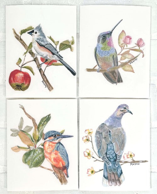 beautiful-birds-bundle-cards-beverly-gurganus-art