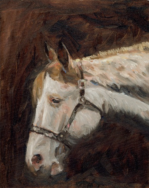 warm and moody original oil painting of a white horse