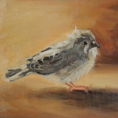 original oil painting of a zebra finch