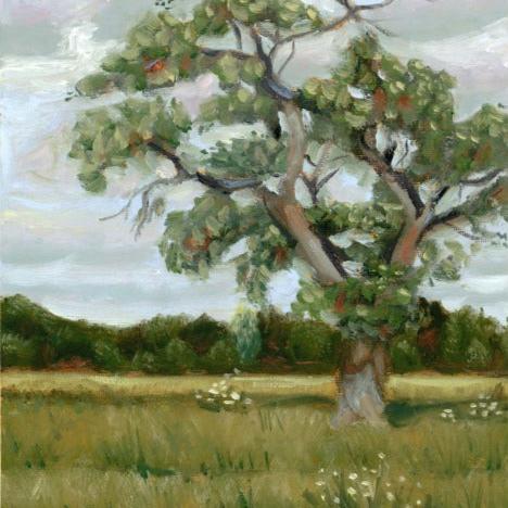 original landscape oil painting with a large tree and small white flowers.