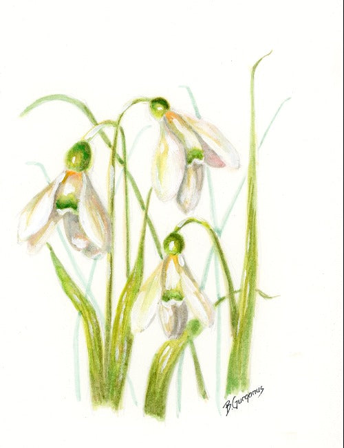 January-birth-flower-card-beverly-gurganus-art