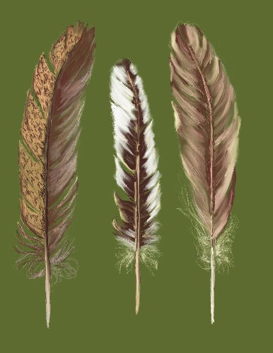 feather-fall-greeting-card-beverly-gurganus-art